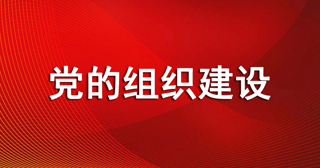 把党组织建设得更加坚强有力 把党组织建设得更加坚强有力